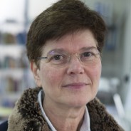 Liesbeth Halbertsma (nl)